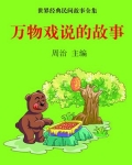 万物cae