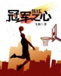 篮球之冠军之心TXT奇书网
