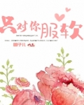 只对你服软结局