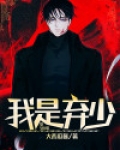 弃少小说