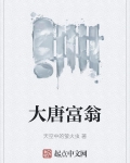 大唐富翁 小说