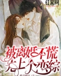 第一章:被离婚