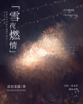雪夜燃情