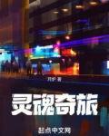 灵魂奇旅