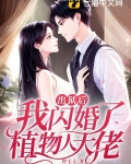 出狱后,我闪婚了植物人大佬txt