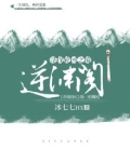 逆渊阁小说人物介绍