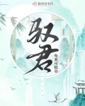 驭君小说全文免费阅读