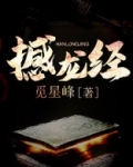 撼龙经