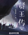 贤王传 电视剧在线观看