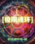 魂环极品属性
