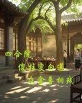 四合院：傻柱变白莲，众禽兽相残