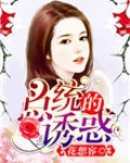 总统的全部小说2017年