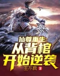 仙尊重生：从背棺开始逆袭