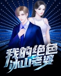 我的绝色冰山老婆朱丹是女主吗