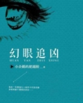 幻影追凶在线