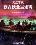 火红年代,我在陕北当知青