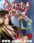 中华高手在异世