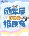 年代文随军养娃