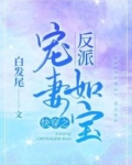 快穿之反派宠妻如宝全文阅读