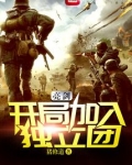 亮剑：开局加入独立团